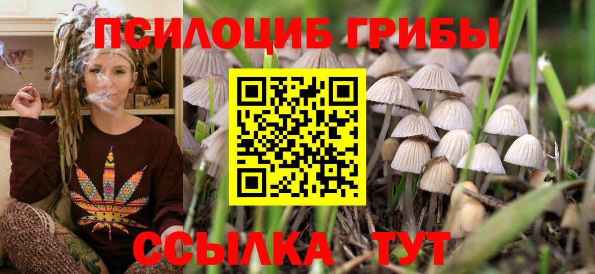 Бугуруслан  Псилоцибиновые грибы мухоморы  Вход с VPN  Псилоцибиновые грибы MAGIC MUSHROOMS 